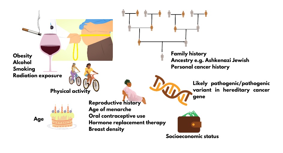 Breast cancer risk factors