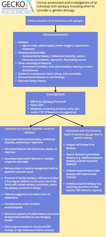 poc epilepsy 2026