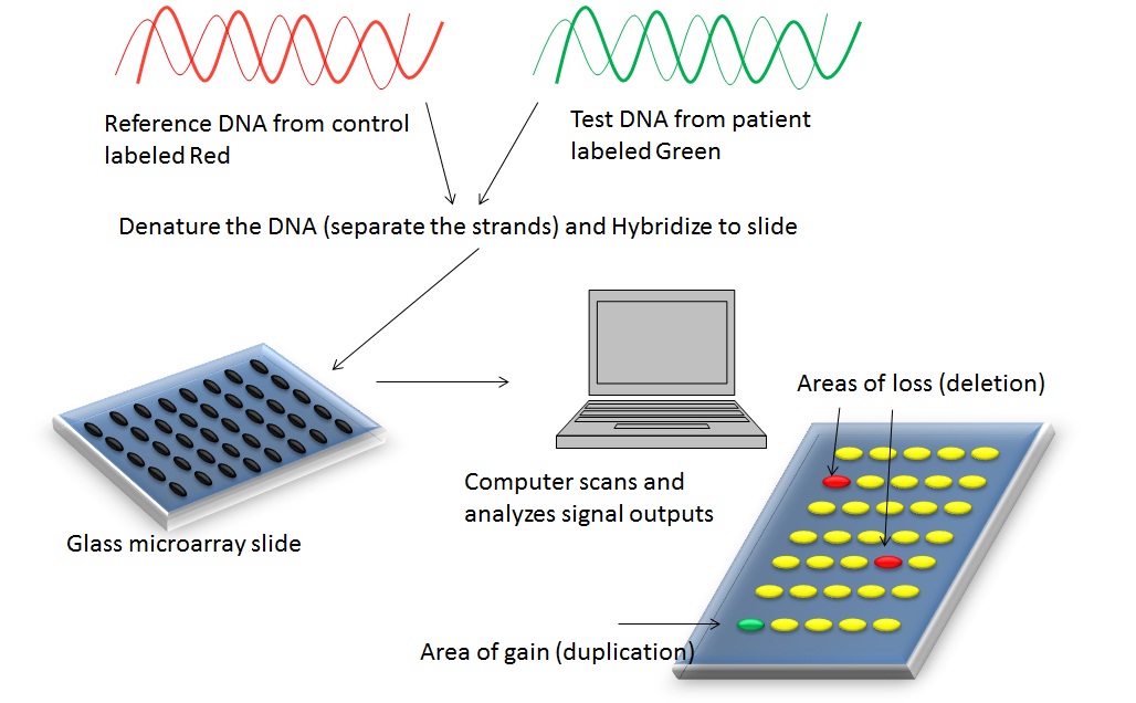 Chromosomal microarray